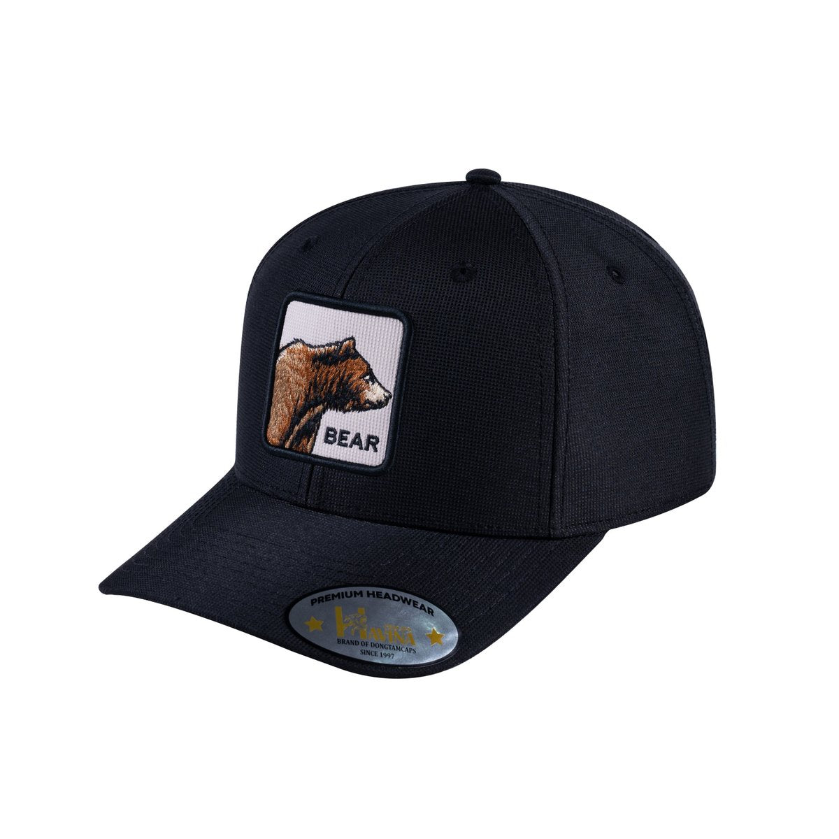 Bear V2 6-Panel Baseball Cap with Black front and Black back
