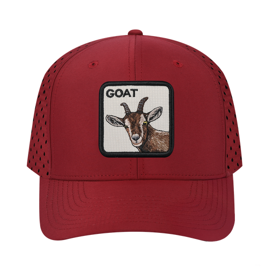 HAVINA WHOLESALE