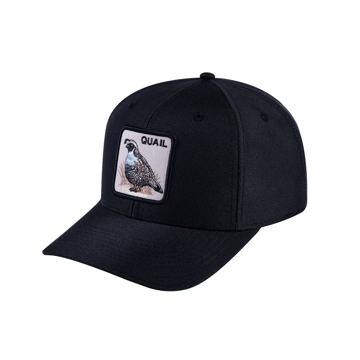 Quail V2 6-Panel Baseball Cap with Black front and Black back