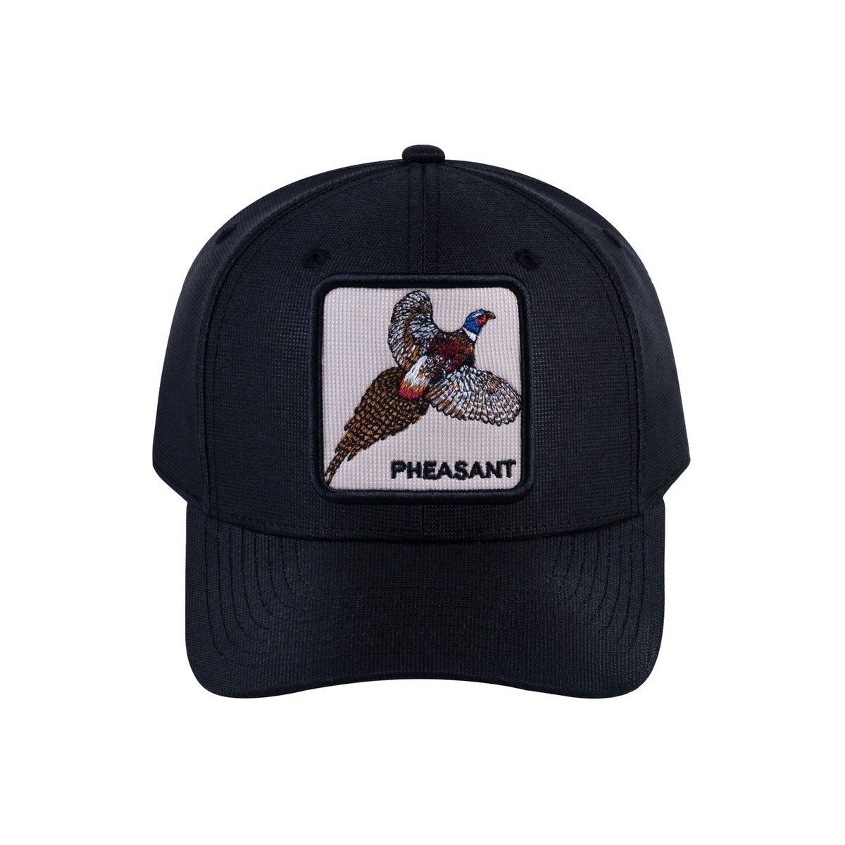 Pheasant V2 6-Panel Baseball Cap with Black front and Black back