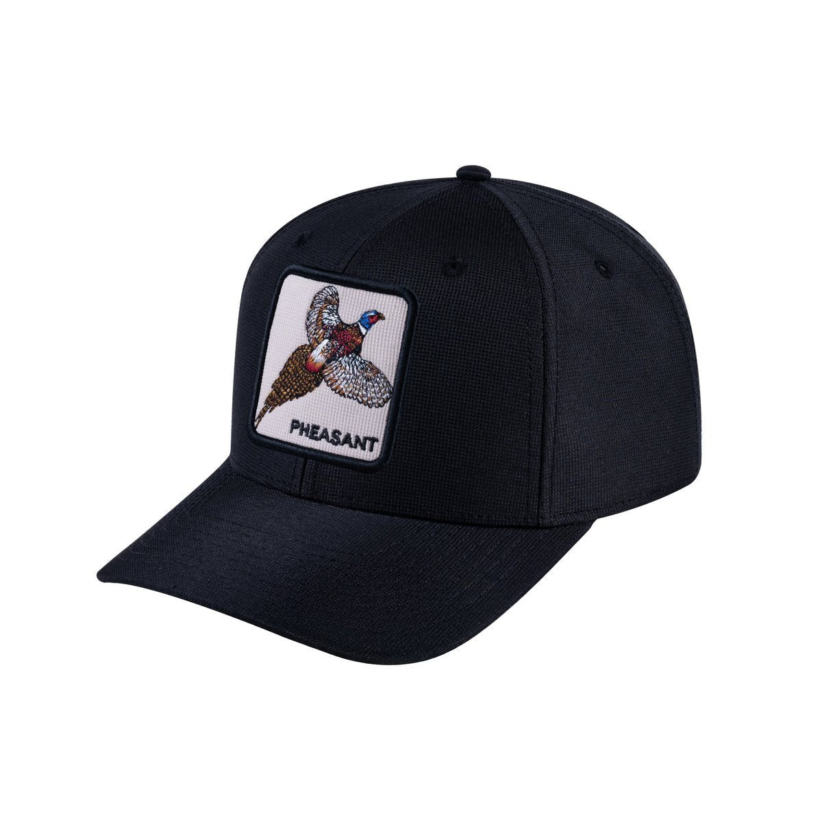 Pheasant V2 6-Panel Baseball Cap with Black front and Black back
