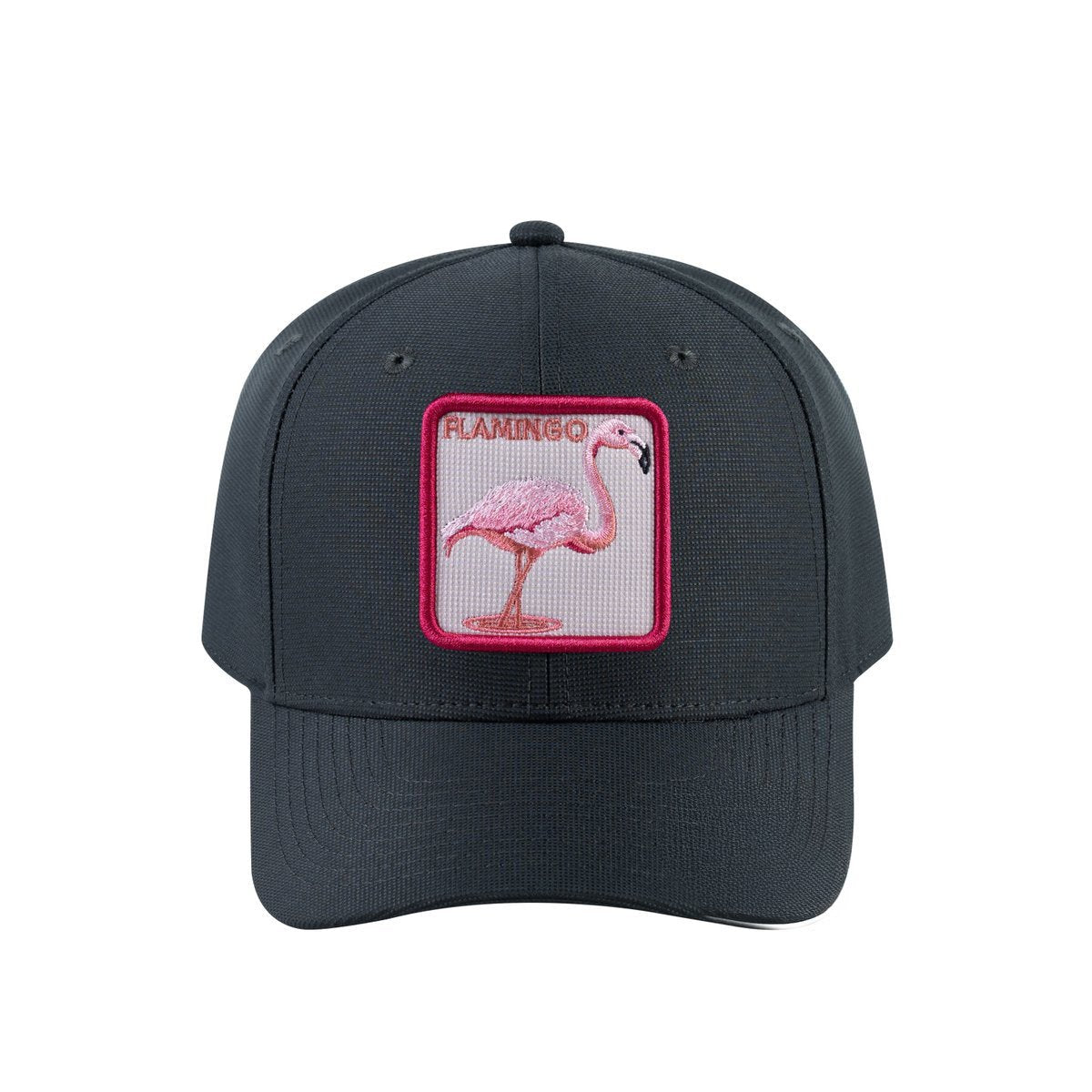 Flamingo V2 6-Panel Baseball Cap with Dark Grey front and Dark Grey back