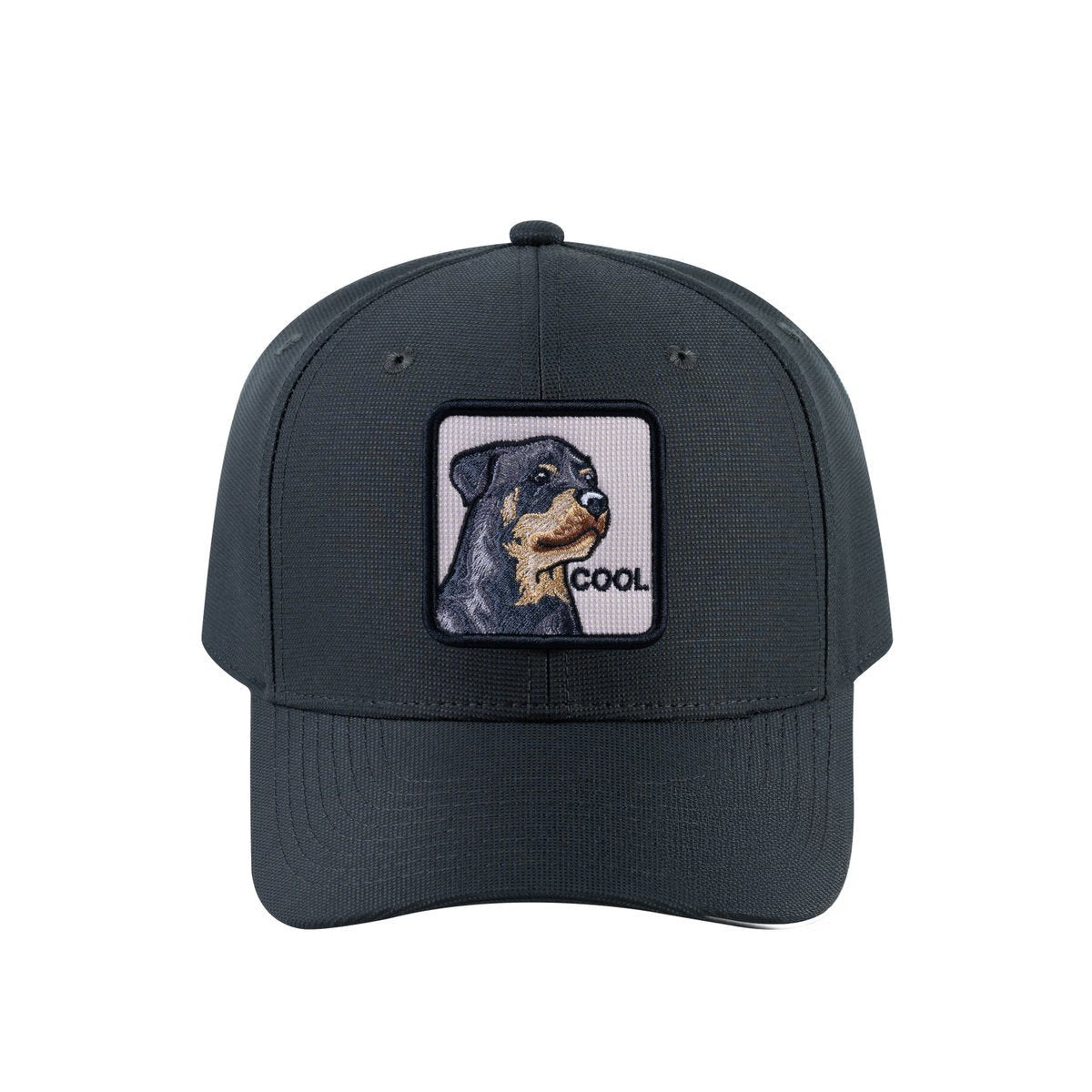 Dog V2 6-Panel Baseball Cap with Dark Grey front and Dark Grey back