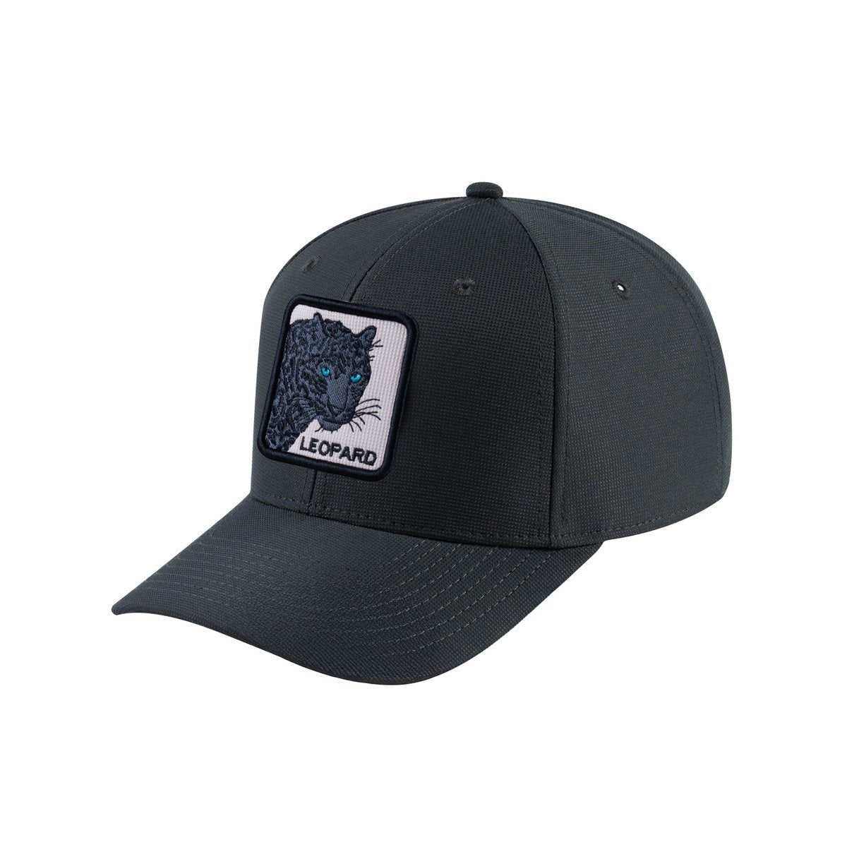 Leopard V2 6-Panel Baseball Cap with Dark Grey front and Dark Grey back