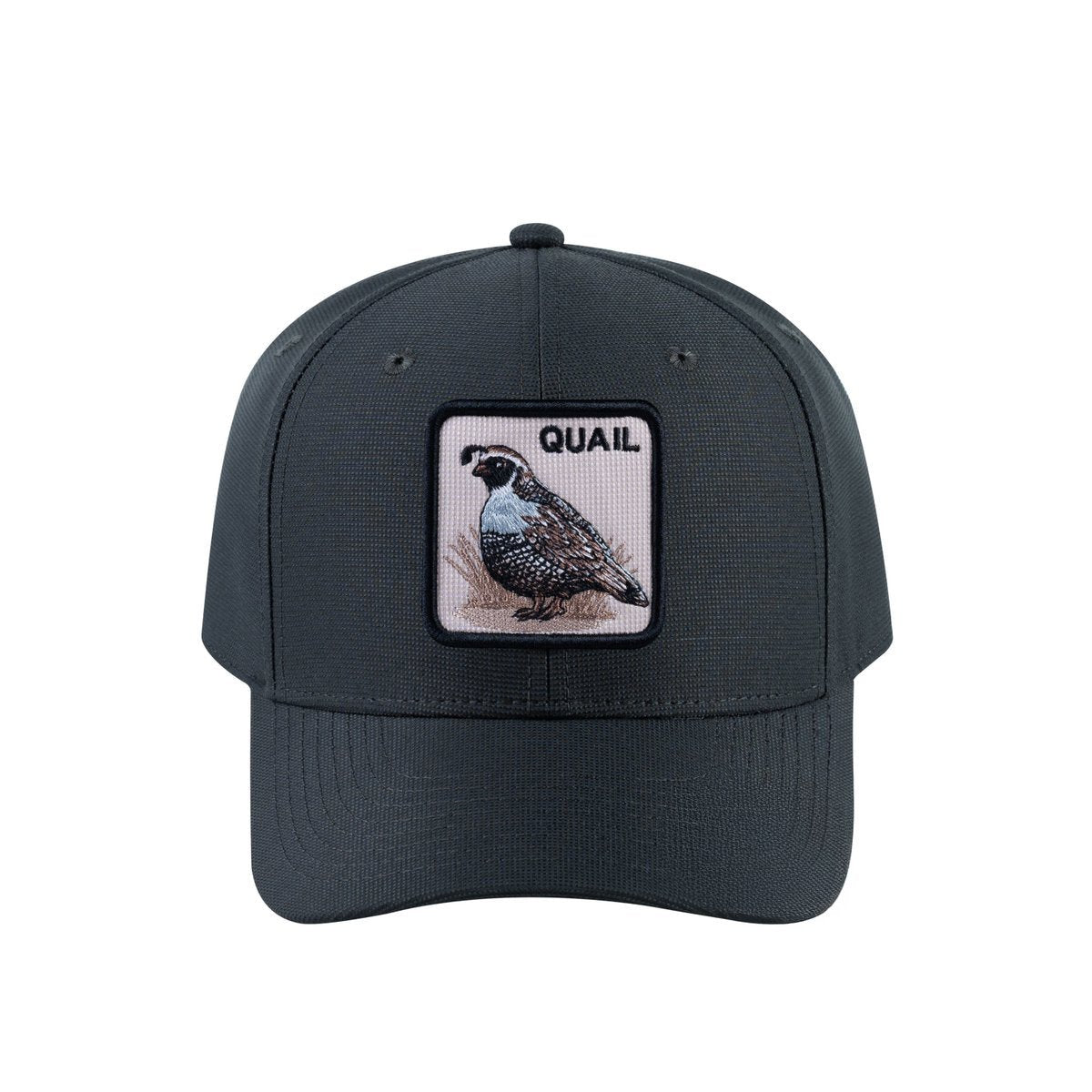 Quail V2 6-Panel Baseball Cap with Dark Grey front and Dark Grey back