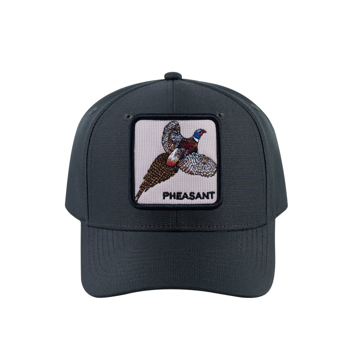 Pheasant V2 6-Panel Baseball Cap with Dark Grey front and Dark Grey back