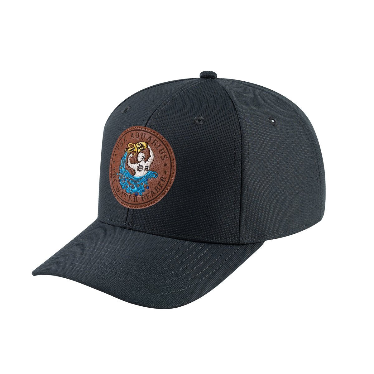 Aquarius Zodiac V2 6-Panel Baseball Cap with Dark Grey front and Dark Grey back