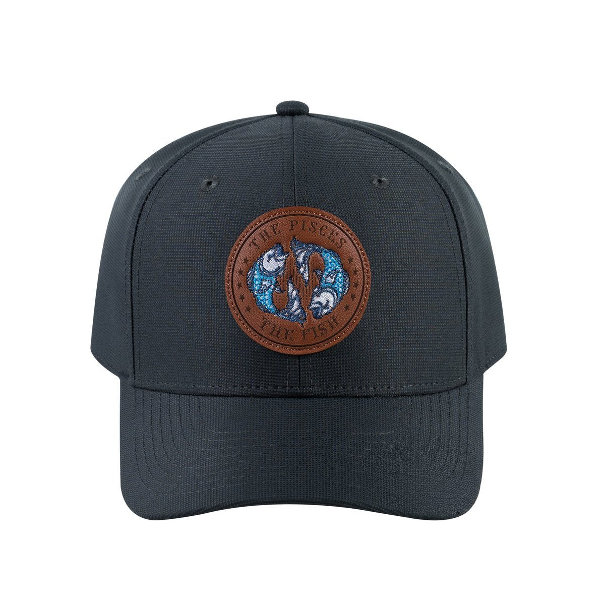 Pisces Zodiac V2 6-Panel Baseball Cap with Dark Grey front and Dark Grey back