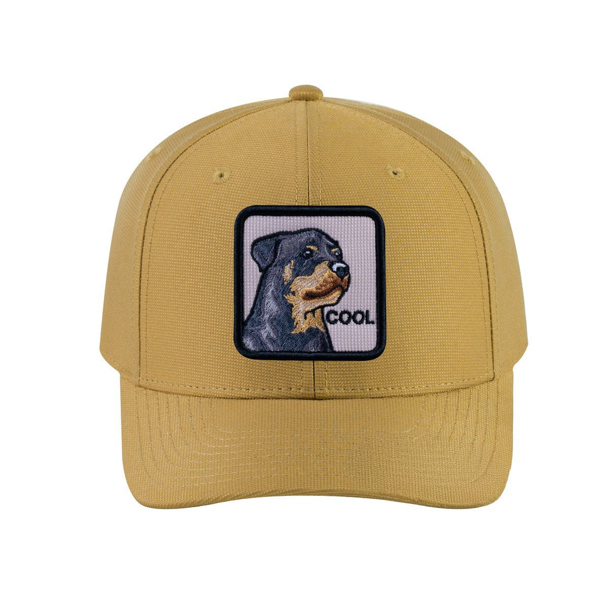 Dog V2 6-Panel Baseball Cap with Khaki front and Khaki back
