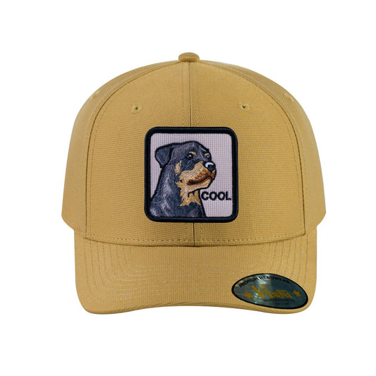 Dog V2 6-Panel Baseball Cap with Khaki front and Khaki back