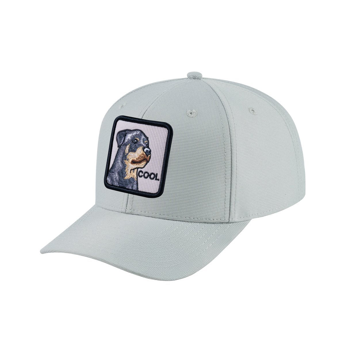 Dog V2 6-Panel Baseball Cap with Light Grey front and Light Grey back