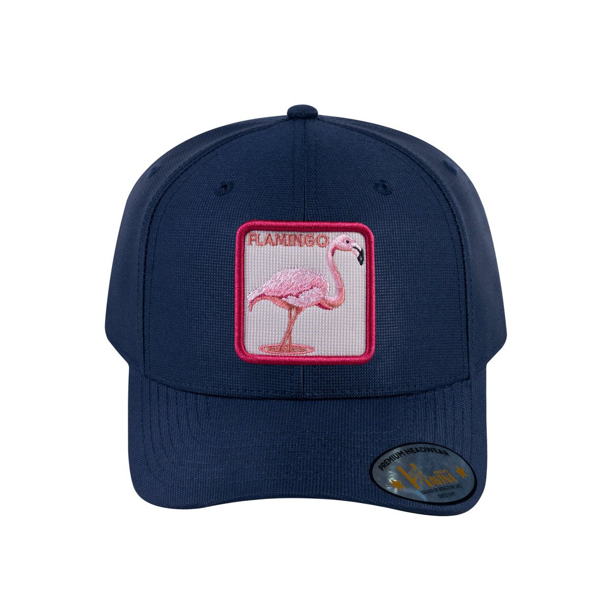 Flamingo V2 6-Panel Baseball Cap with Navy front and Navy back