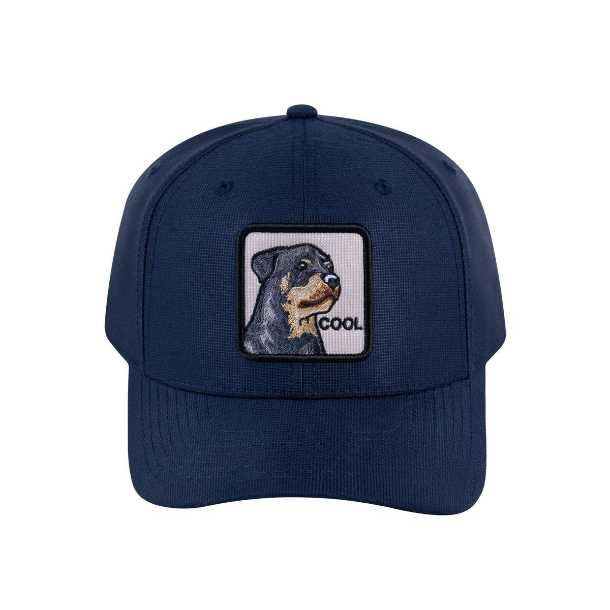 Dog V2 6-Panel Baseball Cap with Navy front and Navy back