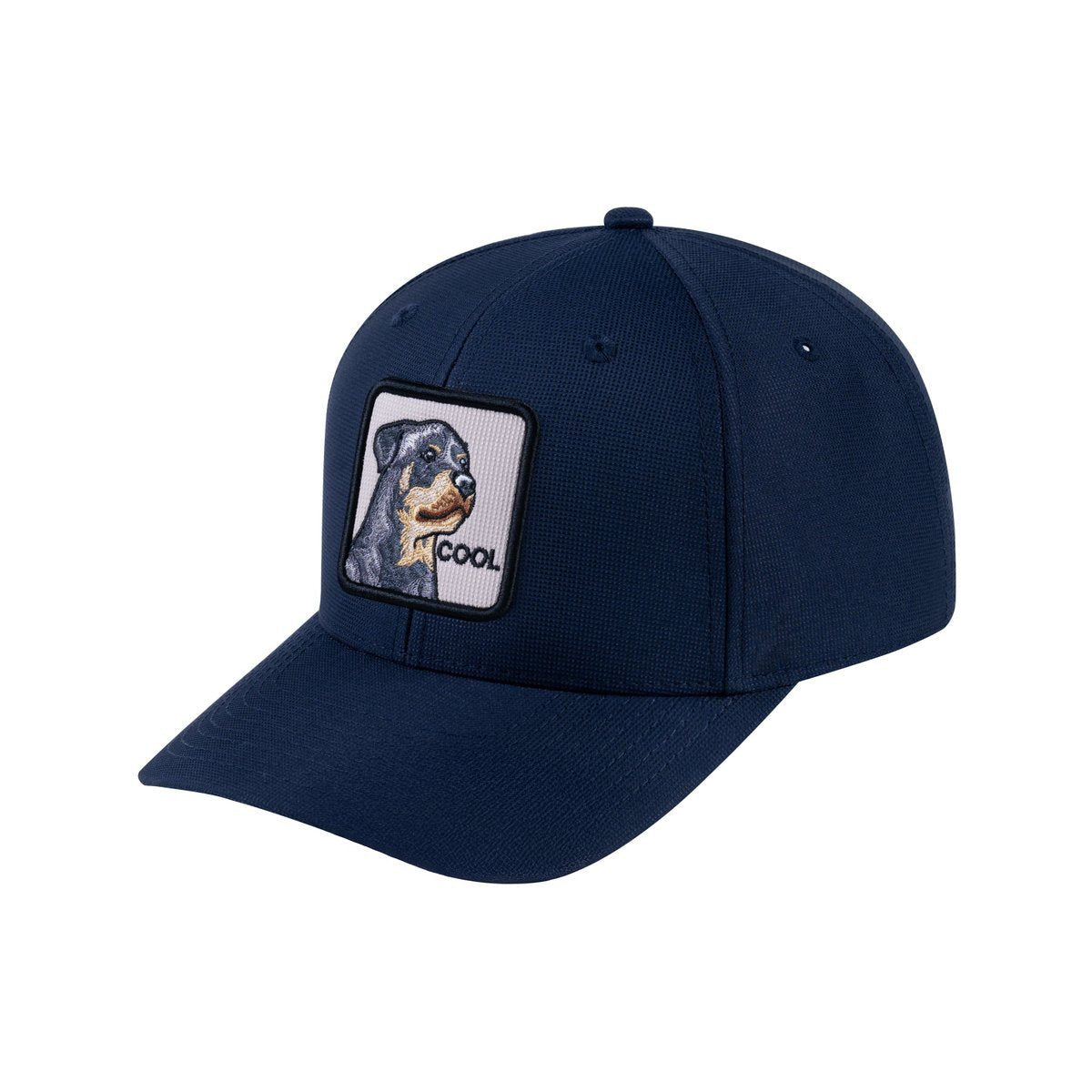 Dog V2 6-Panel Baseball Cap with Navy front and Navy back