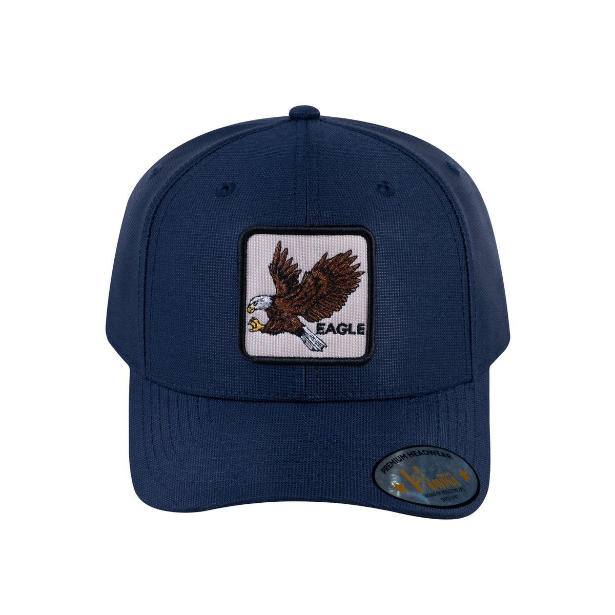 Eagle V2 6-Panel Baseball Cap with Navy front and Navy back