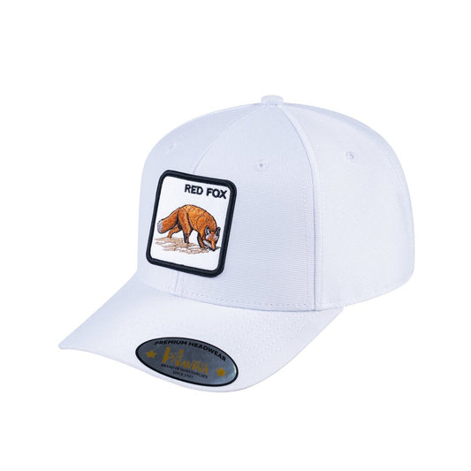 HAVINA WHOLESALE