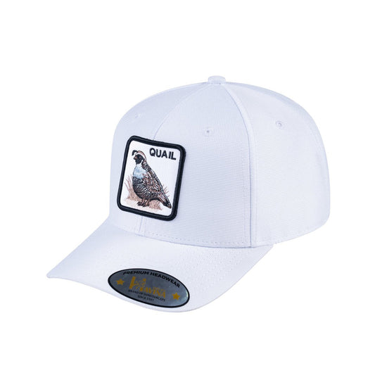 HAVINA WHOLESALE