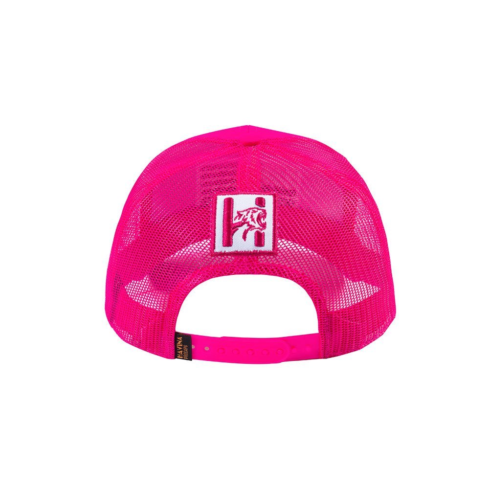 US Flag 6-Panel Trucker Hat with Pink front and Pink back