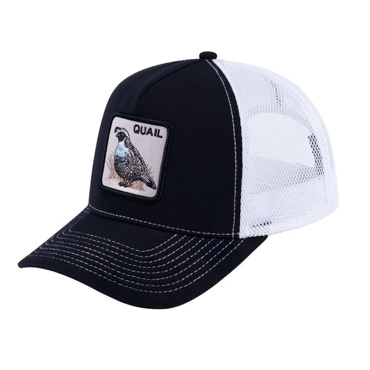 HAVINA WHOLESALE