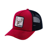 HAVINA WHOLESALE
