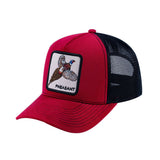 HAVINA WHOLESALE