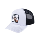 HAVINA WHOLESALE