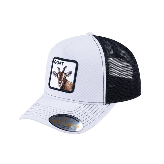 HAVINA WHOLESALE