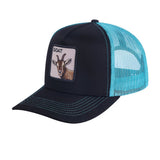 HAVINA WHOLESALE