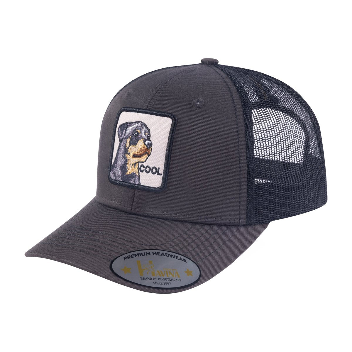 Cool Dog 6-Panel Trucker Hat with Dark Grey front and Black back