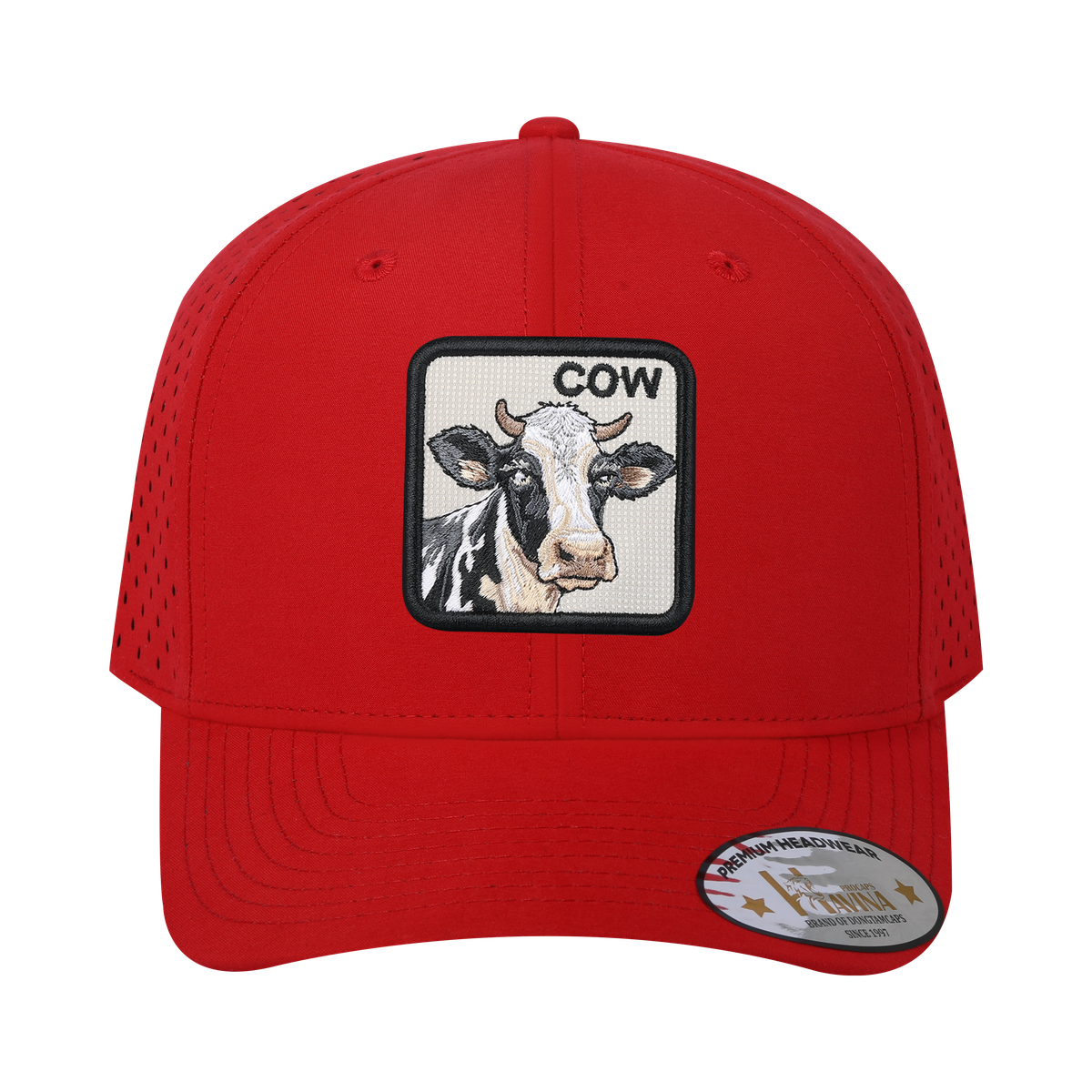 HAVINA WHOLESALE