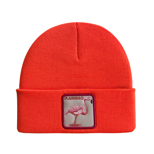 HAVINA WHOLESALE