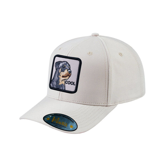 HAVINA WHOLESALE
