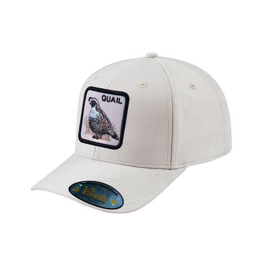 HAVINA WHOLESALE