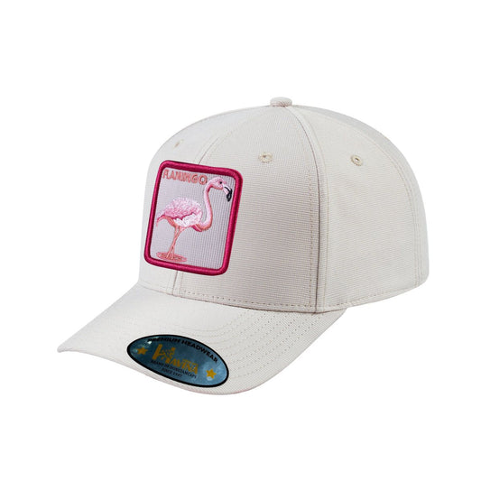 HAVINA WHOLESALE